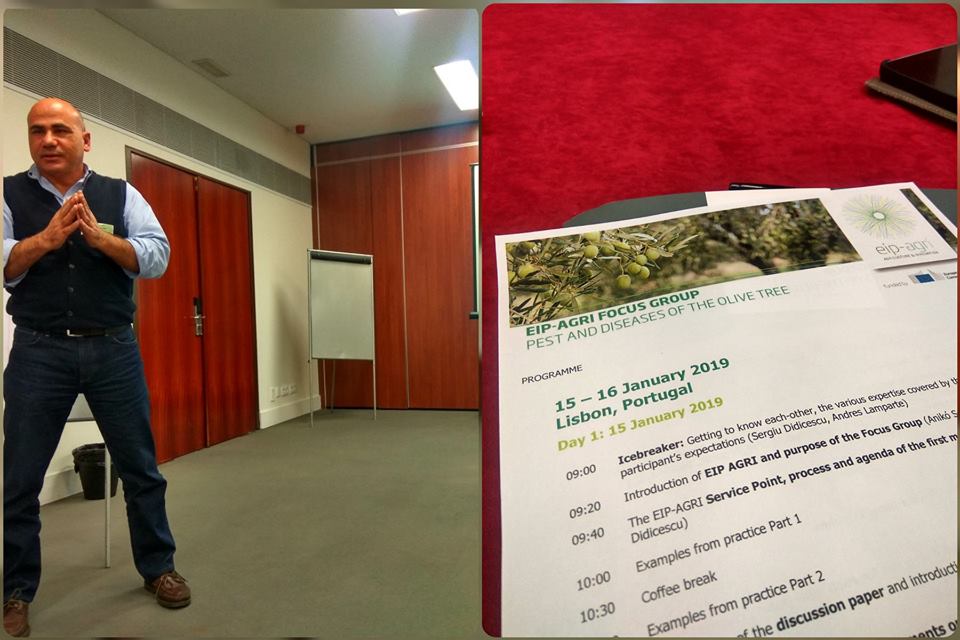 Παρουσίαση του έργου Life IGIC στο EIP-Agri's Focus Group on Olive Pests and Diseases