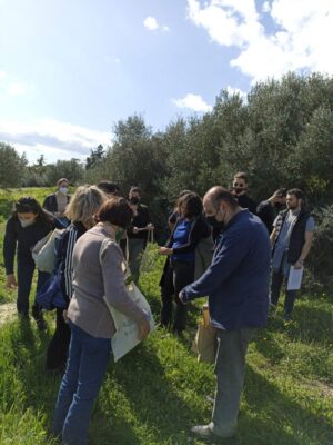 Educational talk on edible flora of olive groves and visit at the Hellenic Mediterranean University (HMU) olive grove
