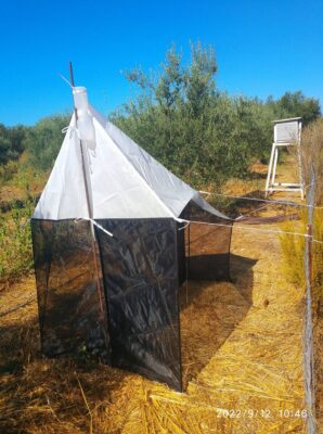 Εγκατάσταση παγίδων Malaise στην περιοχη του έργου για την καταγραφή της εναέριας εντομοπανίδας