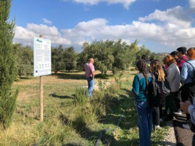 LIFE IGIC olive groves educational visit
