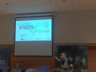 Coordinators and scientists of LIFE IGIC and +LIFE Olivares Vivos meet at the Universidad de Jaén, Spain.